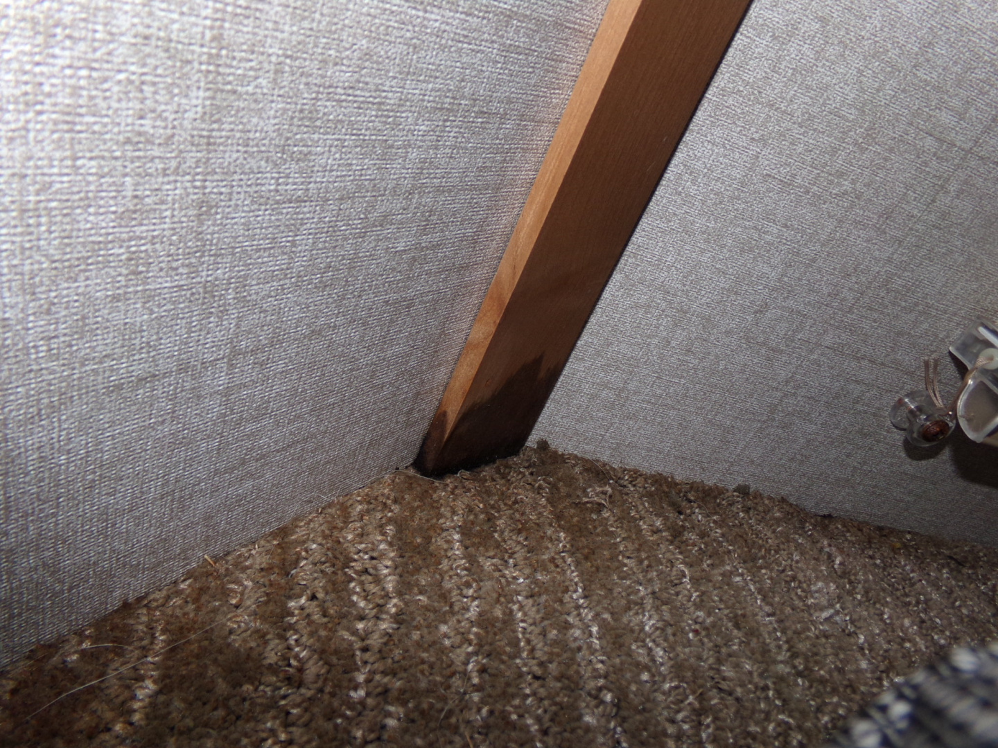 Used 2023 Trails West Classic 10x10 Side Tack Horse Trailer