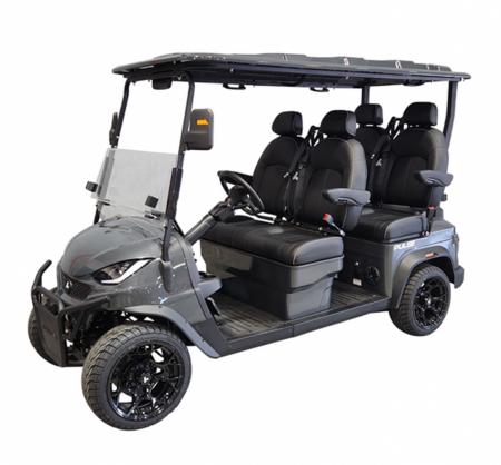 New 2026 Bintelli Pulse 4F Golf Cart