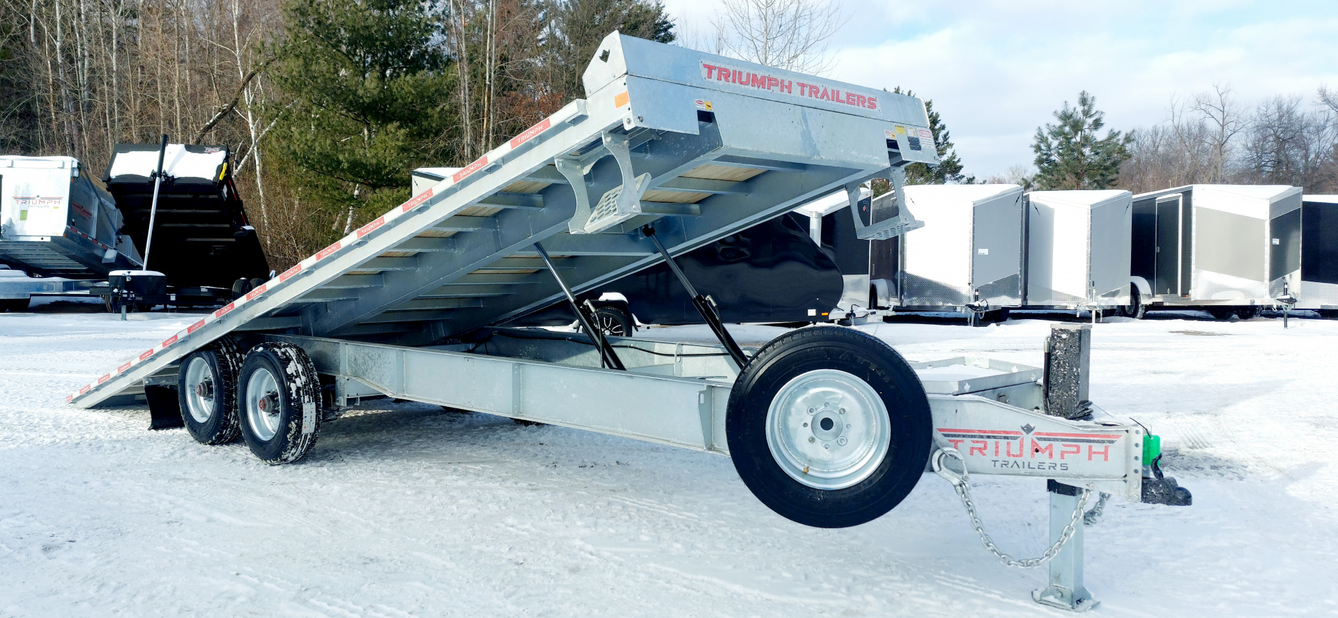 New 102 X 24 GALVANIZED POWER TILT DECK 10K AXLES TRIUMPH 2026