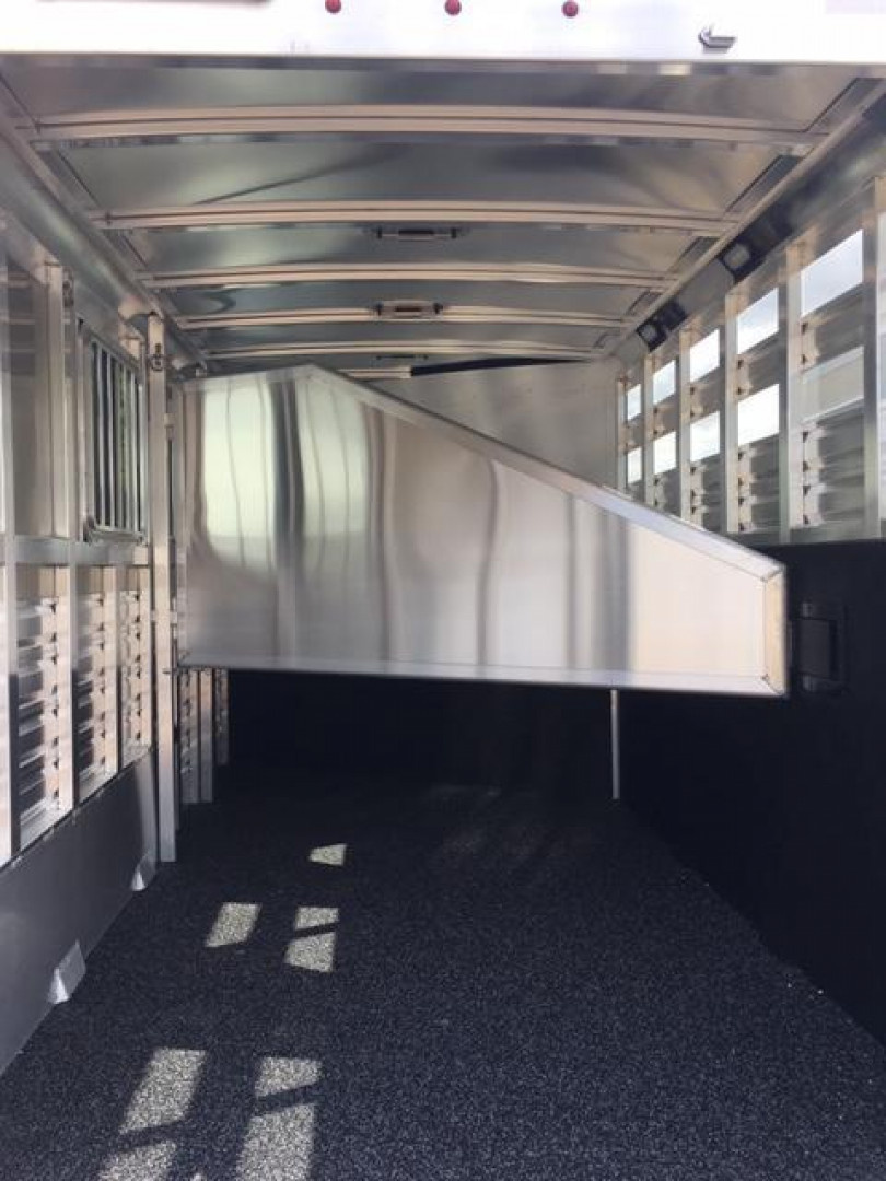 New 2026 Exiss Trailers 3H Express CXF Edition Horse Trailer