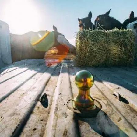 New 2024 B and W Trailer Hitches Turn over ball goosenck Accessories