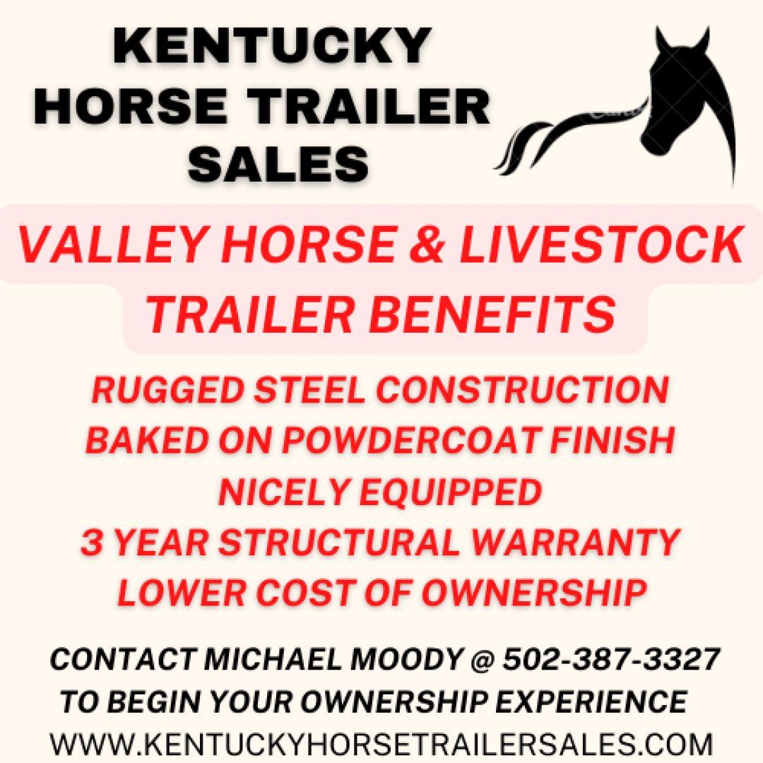 New 2026 Valley Trailers 2 Horse Slant Load Deluxe 7' Tall