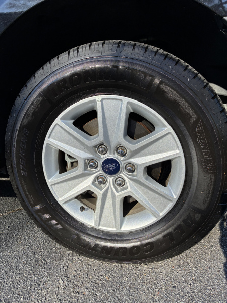 Used 2019 Ford F150 2WD Truck
