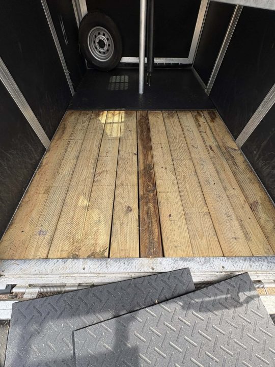 Used 2013 Eclipse 2 Horse Straight Load Horse Trailer