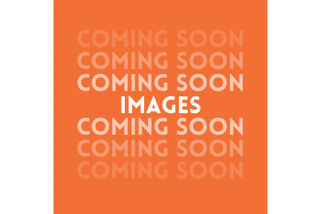 Used 2025 Icon EV G40L - GAS LSV - Lifted - INDIGO BLUE Golf Cart