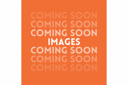 Used 2025 Icon EV G40L - GAS LSV - Lifted - INDIGO BLUE Golf Cart