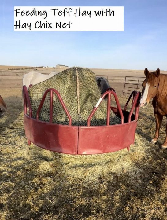 New 2026 Hay Chix 6' Large Bale Net w/1.75" Holes Farm / Ranch