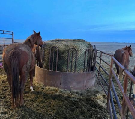 New 2026 Hay Chix 6' Large Bale Net w/1.75" Holes Farm / Ranch