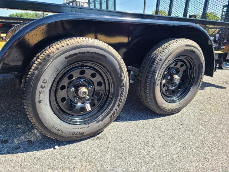 New 6'5" x 16 Big Tex 60PI Tandem Axle Utility Trailer, 6k GVWR ***2" Ball, Spring Assist Gate, Spare Mount