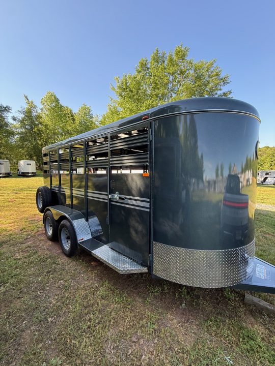 New 2026 Bee 16' Stock Bumper Pull Horse Trailer