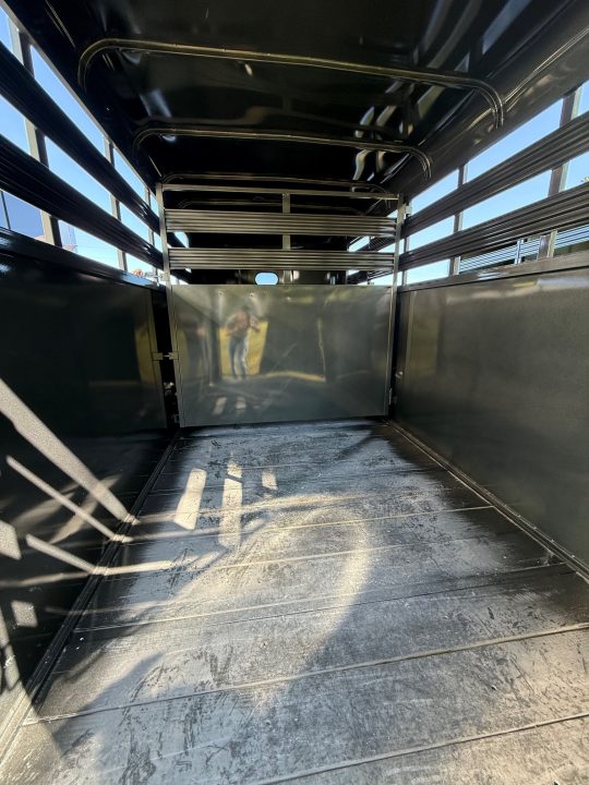 New 2026 Bee 16' Stock Bumper Pull Horse Trailer