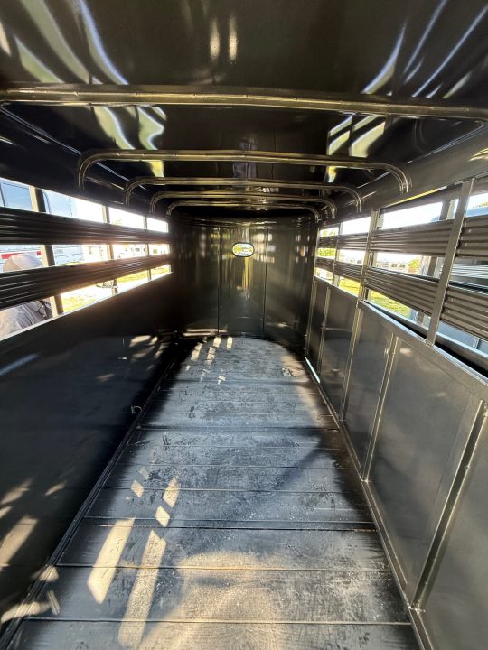 New 2026 Bee 16' Stock Bumper Pull Horse Trailer