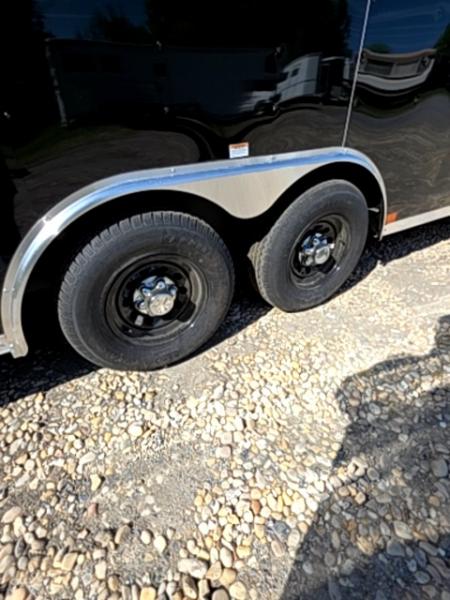 New 2026 Homesteader Trailer Champion Car Trailer Car / Racing Trailer