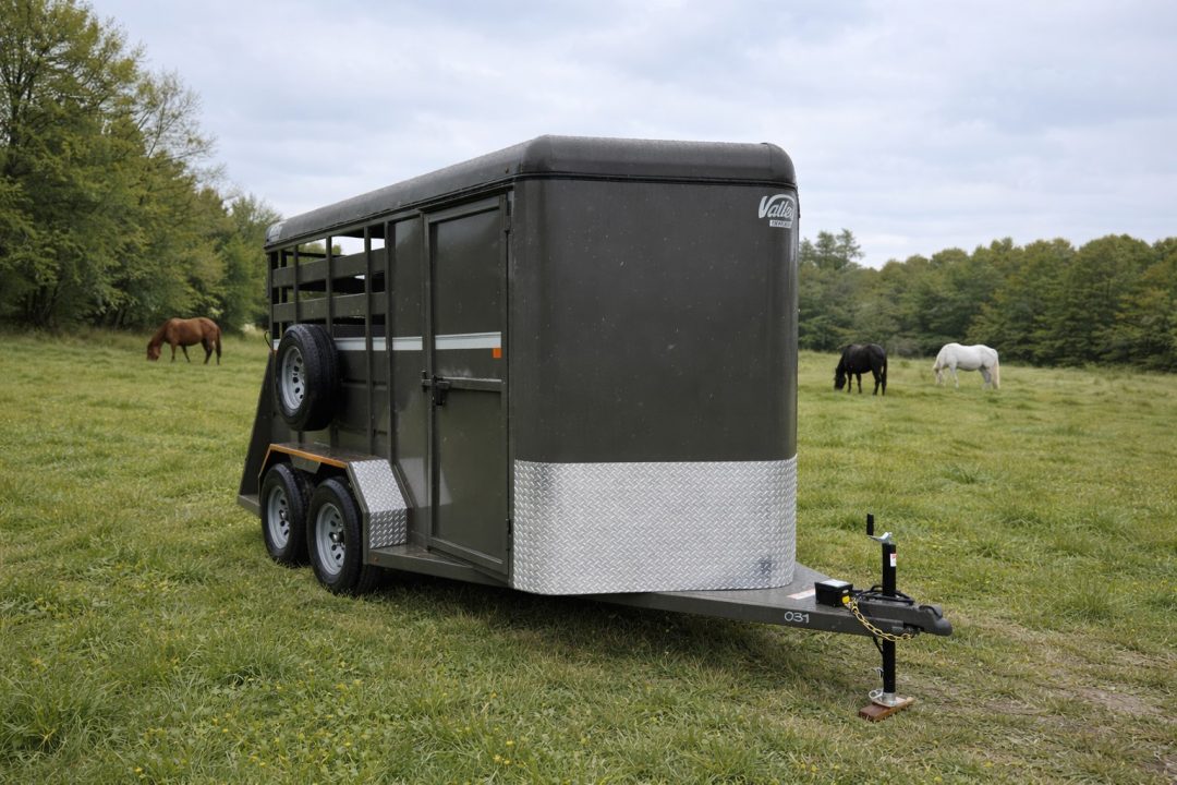 New 2026 Valley Trailers 2 HORSE SLANT COMBO STD