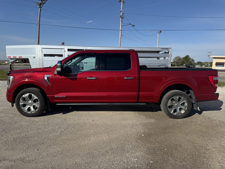 Used 2021 Ford F150 Platimun Truck