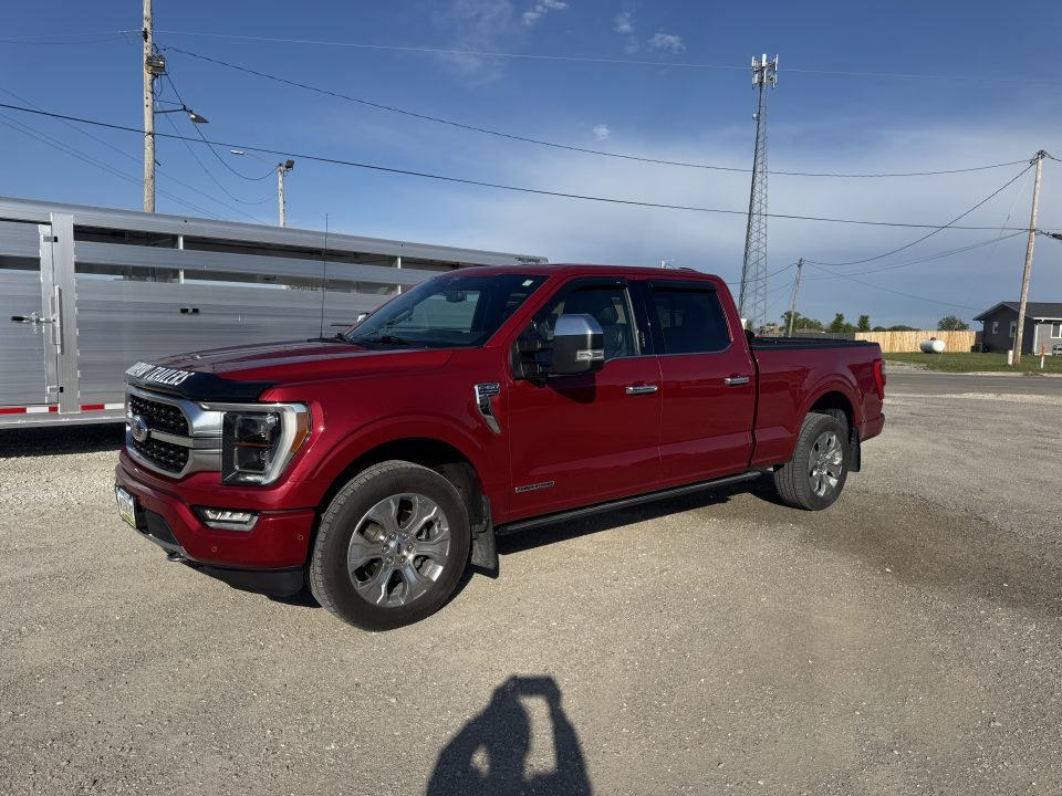 Used 2021 Ford F150 Platimun Truck