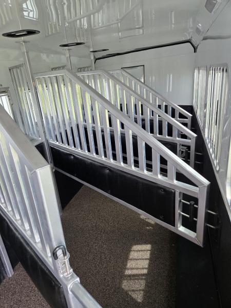New 2026 Merhow Stampede 5 Horse Sideload Trailer