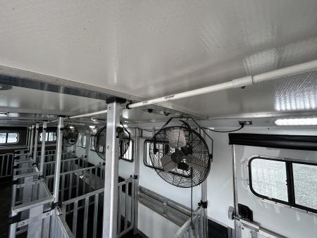 Used 2022 Cimarron Showstar 485 Gooseneck Pen System