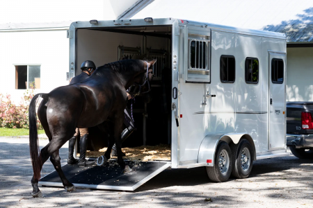 New 2026 Frontier Trailers 3 Horse Bumper Pull Aluminum Horse Trailer Horse Trailer