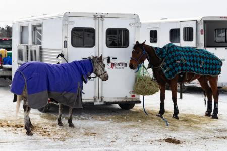 New 2026 Frontier Trailers Strider 24"T Bumper Pull Slant Load 2 Horse Aluminum Series Horse Trailer
