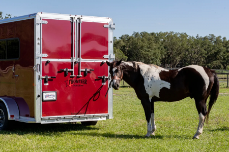 New 2026 Frontier Trailers Fast Track BP 2 Horse Straight Load Series Horse Trailer