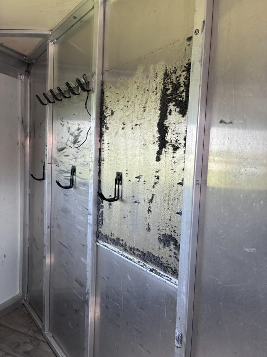 Used 2009 Cimarron Trailers 4H GN Horse Trailer