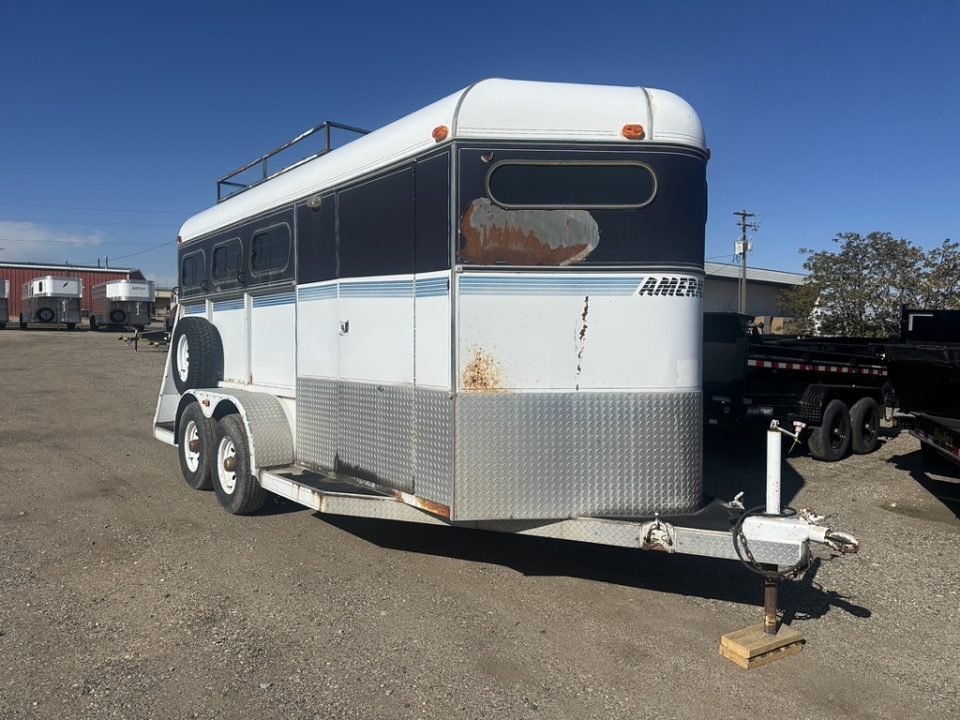 1995 American
