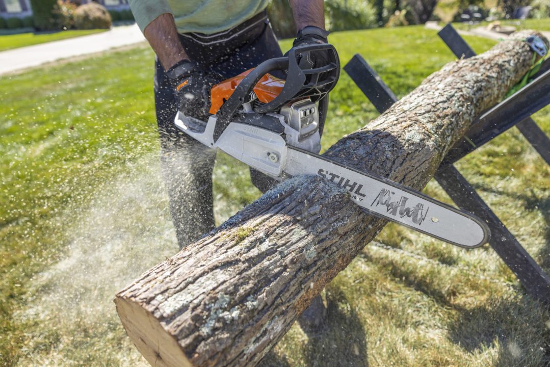 New 2026 Stihl MS 162 Z 16 Chainsaw