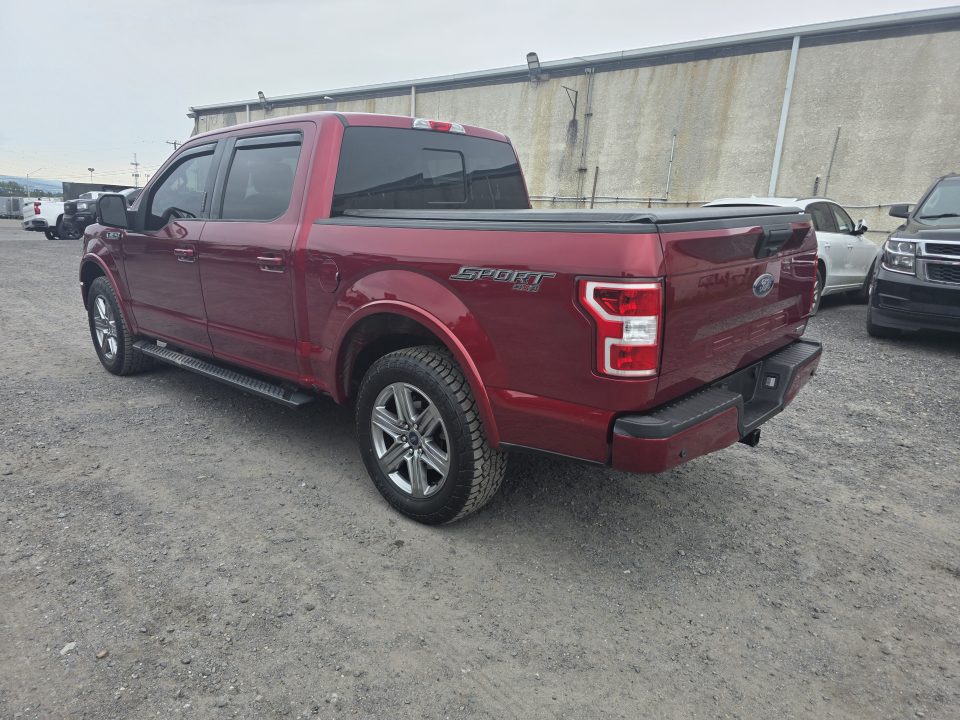 New 2019 Ford XLT CREW CAB Truck
