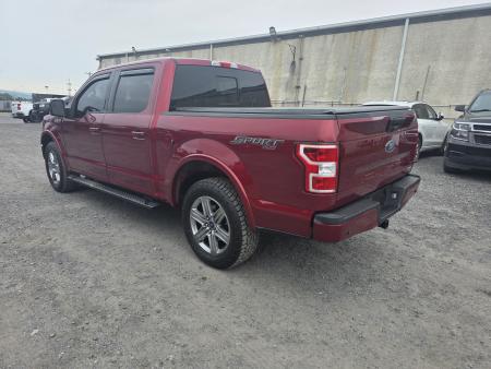 New 2019 Ford XLT CREW CAB Truck