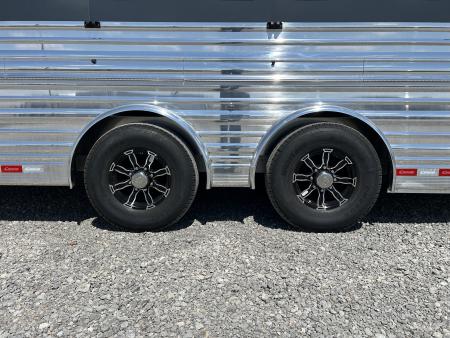 New 2027 Cimarron Showstar 503