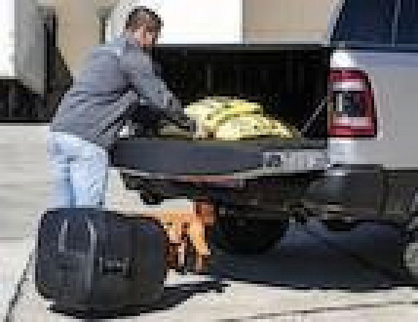 New Saltdogg TGSUVPROA SUV Tailgate Salt Spreader