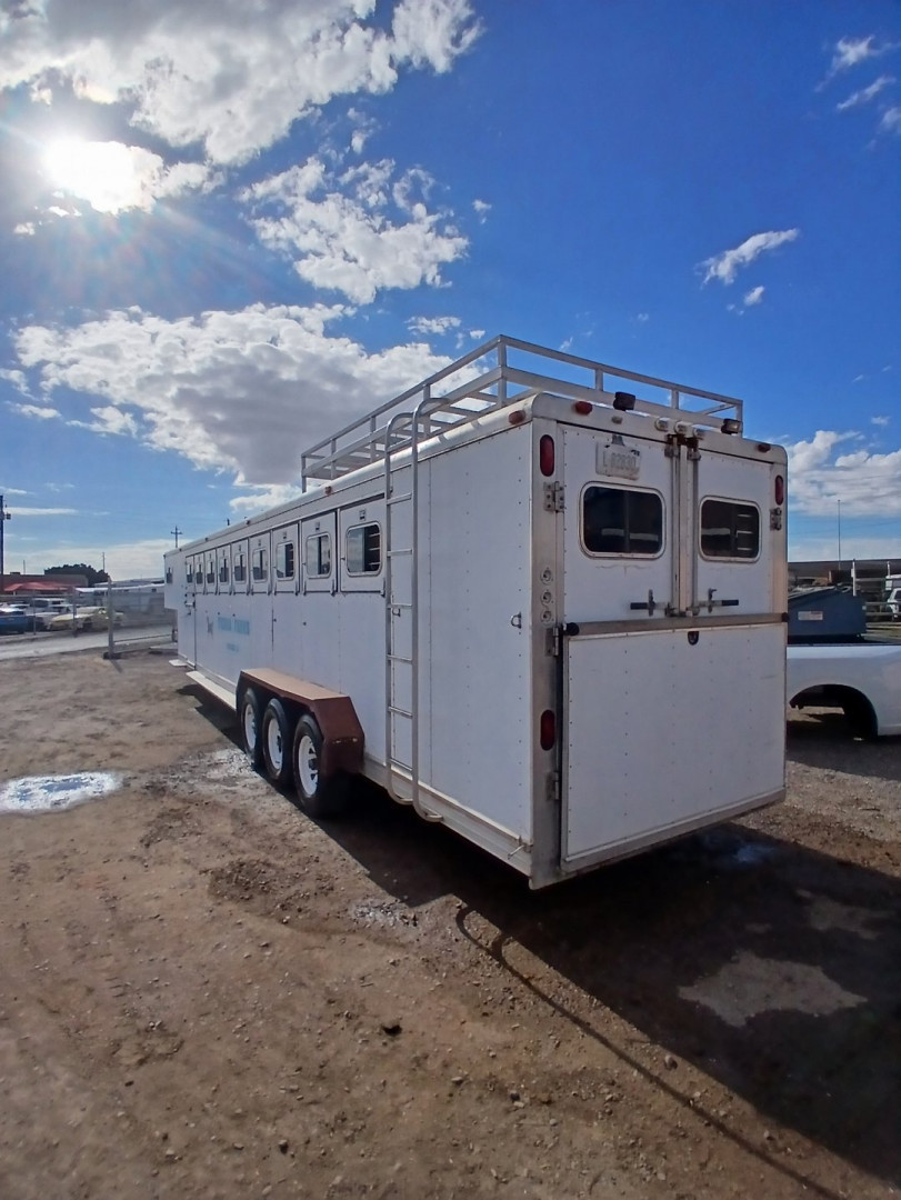 Used 1991 Sundowner Trailers SUNLITE 9 HORSE Horse Trailer