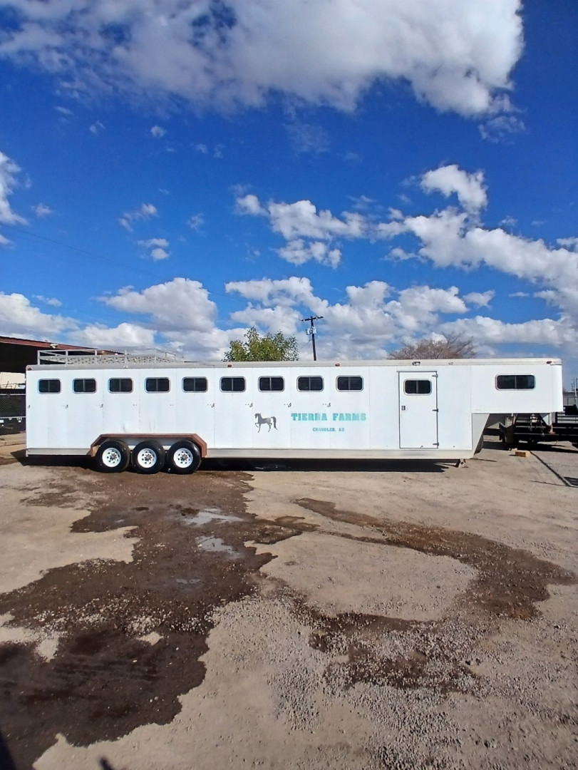 Used 1991 Sundowner Trailers SUNLITE 9 HORSE Horse Trailer