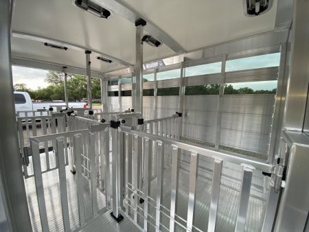 New 2025 Cimarron Showstar 6 Pen Bumper Pull