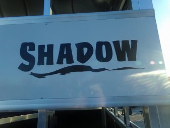 New 2024 SHADOW 3 HORSE WHITE Pen / Stock Combo Trailer