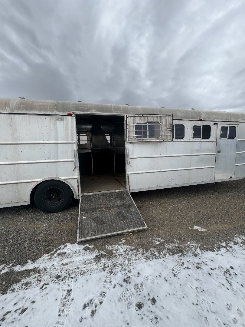 Used 1981 HOLZ 4H GN Horse Trailer