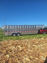 Used 1996 Wilson Trailer Company Gooseneck stock Combo Trailer
