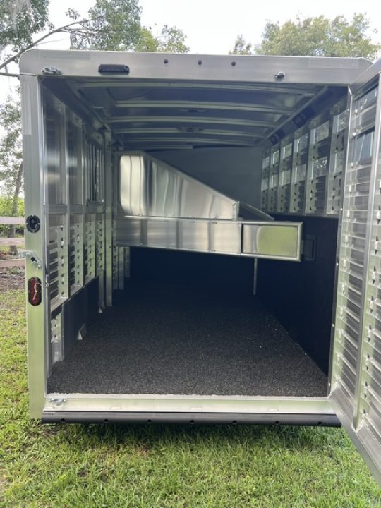 New 2026 Exiss Trailers 3 horse model CXF bumper pull with dressing room Horse Trailer