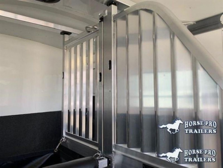 New 2026 4-STAR TRAILERS 2 Horse Straight Load Side Ramp Bumper Pull Horse Trailer