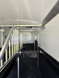 New 2025 4-STAR TRAILERS 2 Horse Straight Load Side Ramp Bumper Pull Horse Trailer