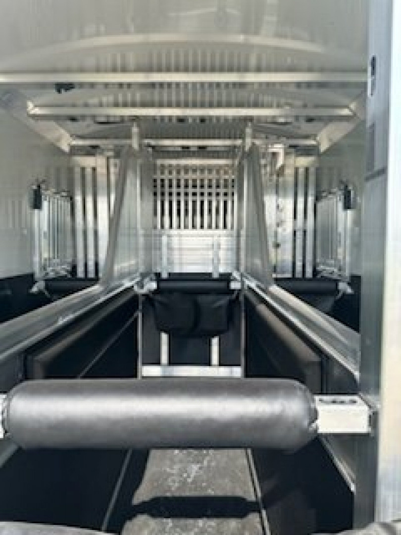 New 2027 4-Star Trailers 6 Horse Head to Head Horse Trailer