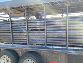 Used 2019 Coose Pipe bow Stock / Stock Combo Trailer