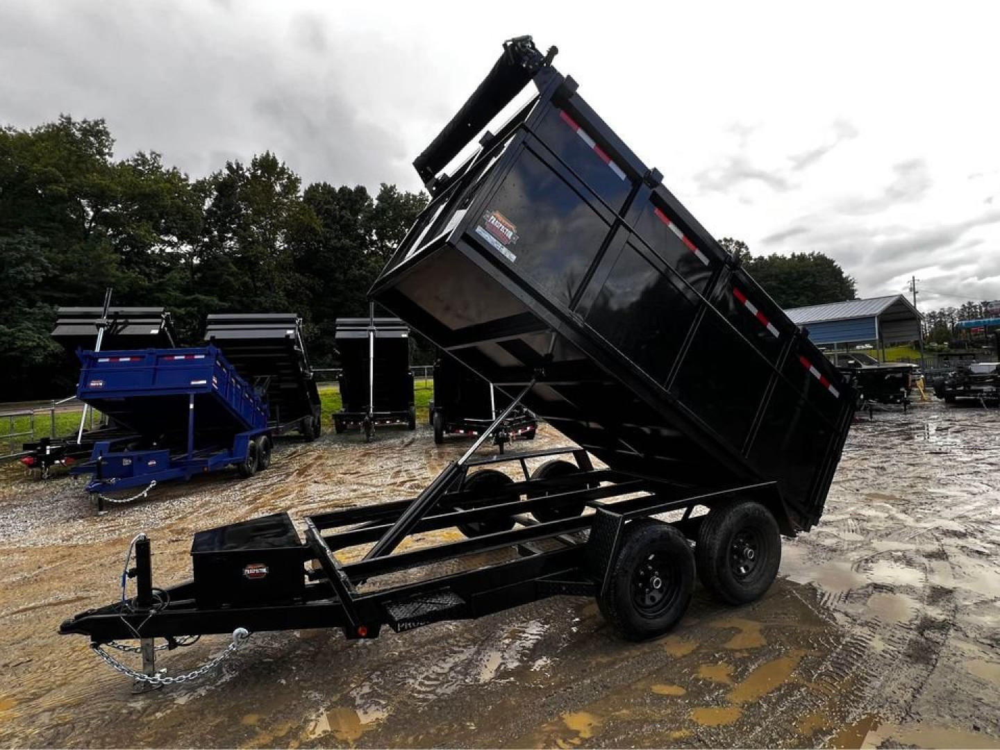 New 2024 Prospector Dump Trailer by Covered Wagon Trailers / D-6X12TA-4-10K Dump Trailer / 6x12 / 10,000# Capacity / 48" High Sides / Aluminum Ramps / Barn Door Rear Gates / Tarp