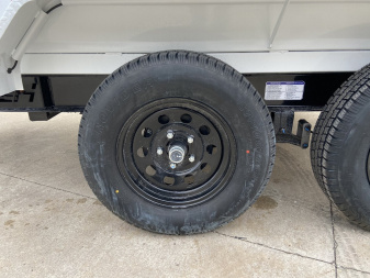 New Horizon 60"x10' Dump Trailer