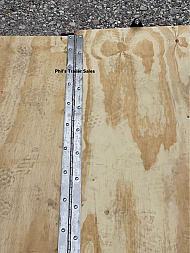 New Continental Cargo NEW 7X16 + V-NOSE ENCLOSED CARGO TRAILER Cargo / Enclosed Trailer