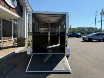 New Frontier 2-Horse Straight Load Bumper Pull Trailer