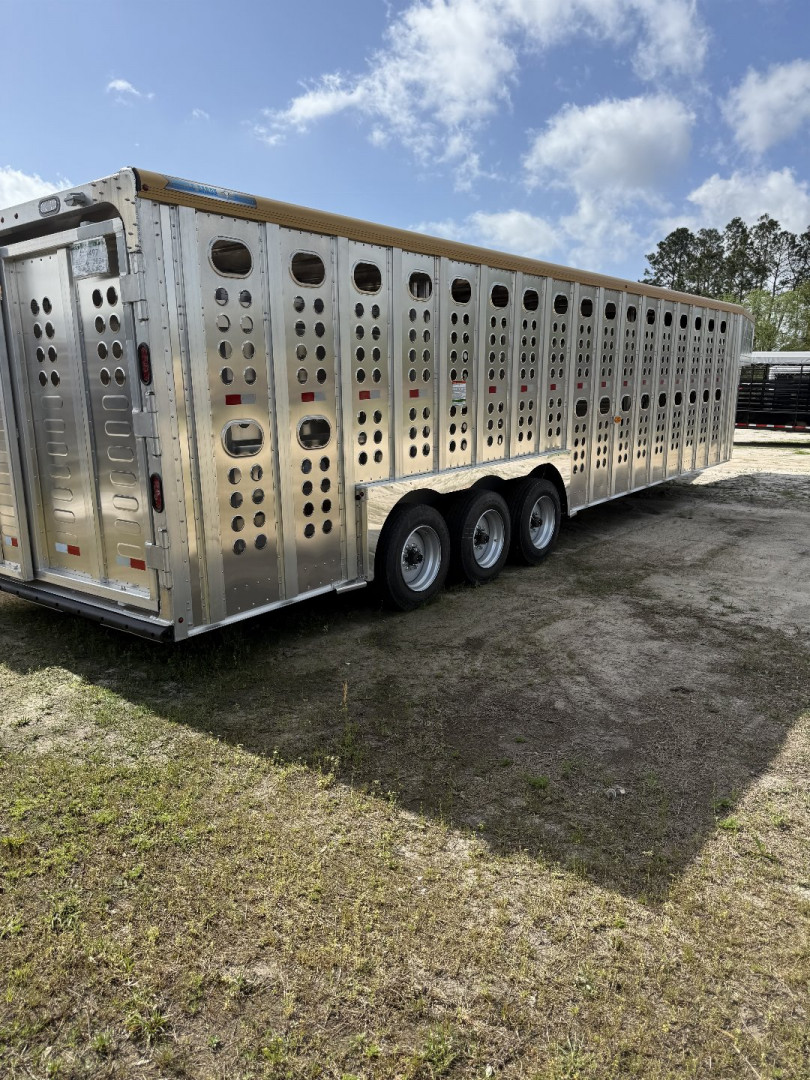 New 2025 Merritt Cattle Baron