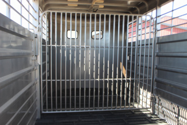 New 2025 GR Trailers 6.8 x 16 Livestock Trailer