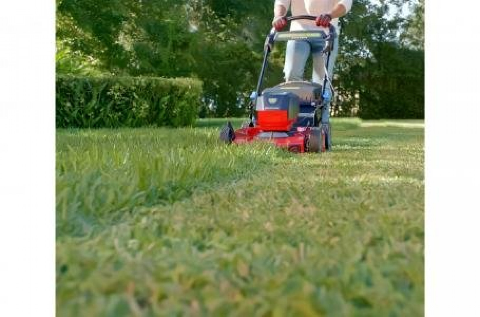 New Toro 22" Recycler 60V MAX* Electric Walk Power Mower **6ah Battery, RWD, SMARTSTOW, Personal Pace, High Wheel